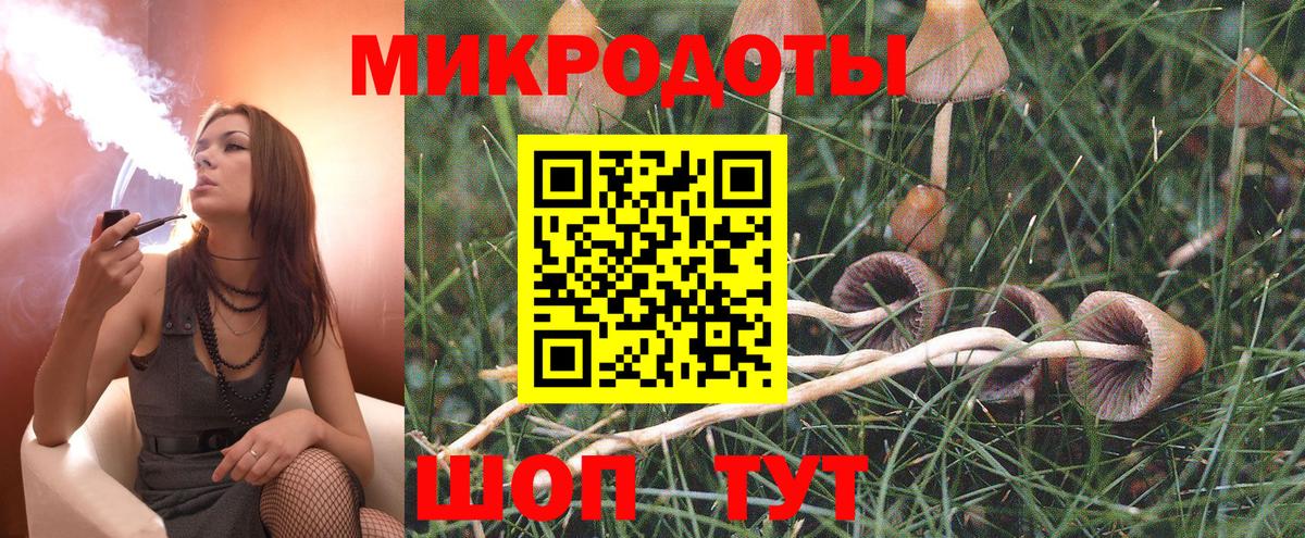 Псилоцибиновые грибы GOLDEN TEACHER  Псилоцибиновые грибы Magic Shrooms  наркотики  Казань  Вход с VPN 